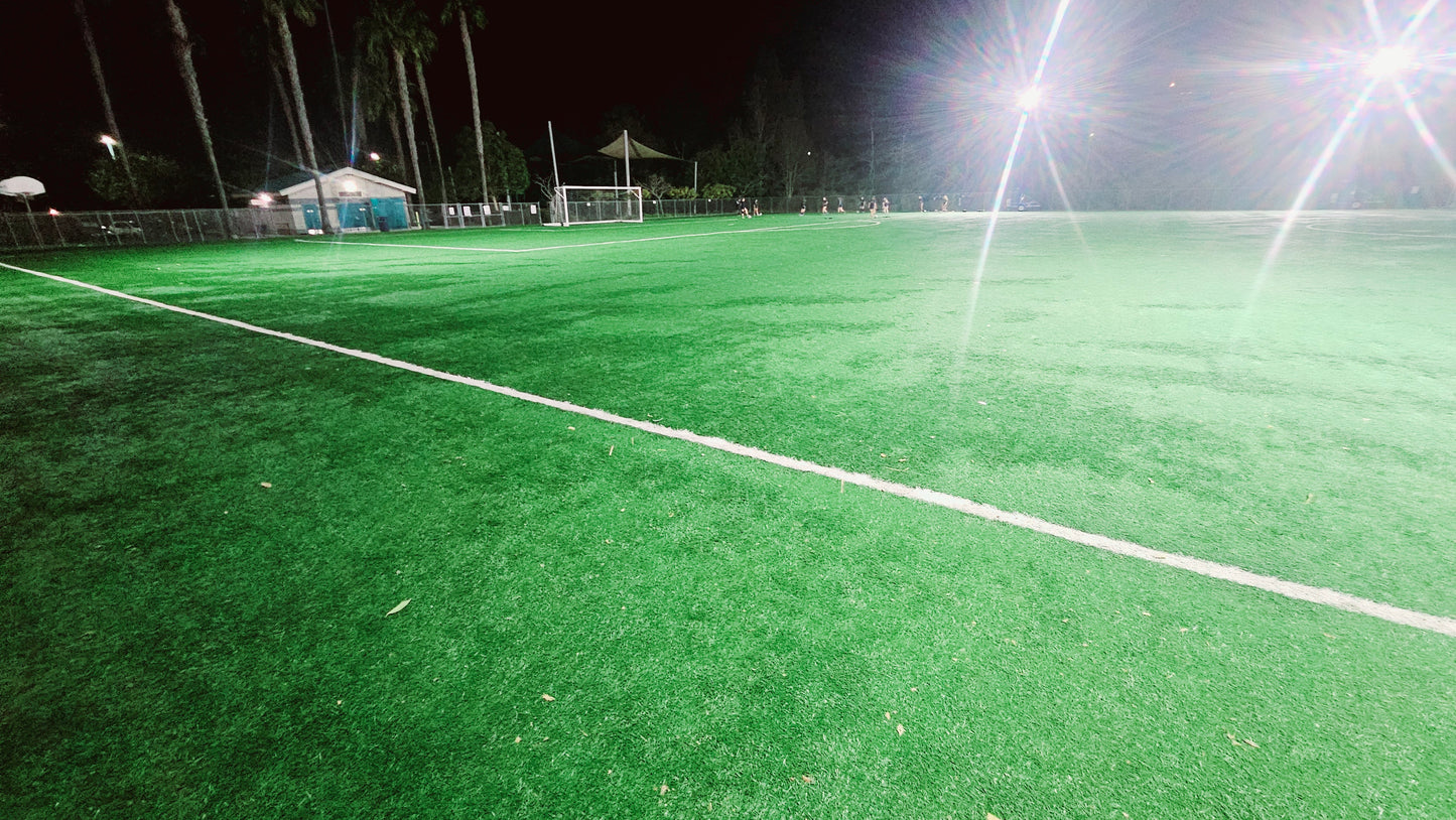 Fixed or Mobile Solar Sports Lighting